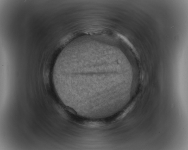 X0000085260209200703301840