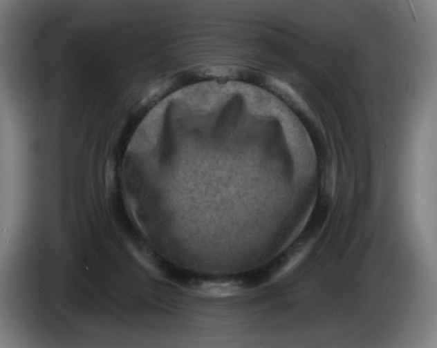 X0000085260213200703301839