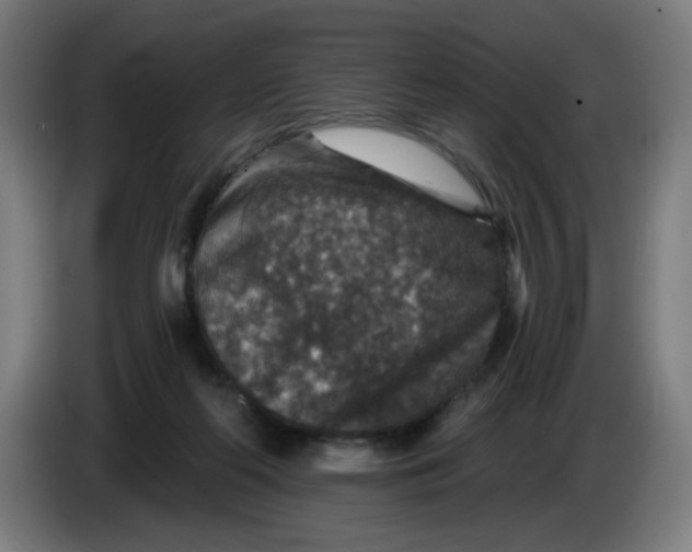 X0000085260214200703301839