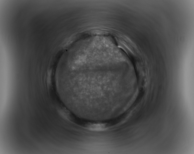 X0000085260217200703301839