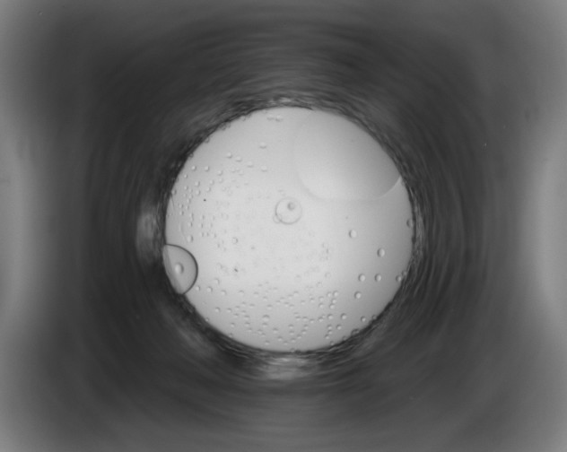 X0000085260222200703301839