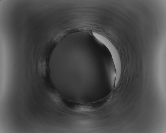 X0000085260223200703301839