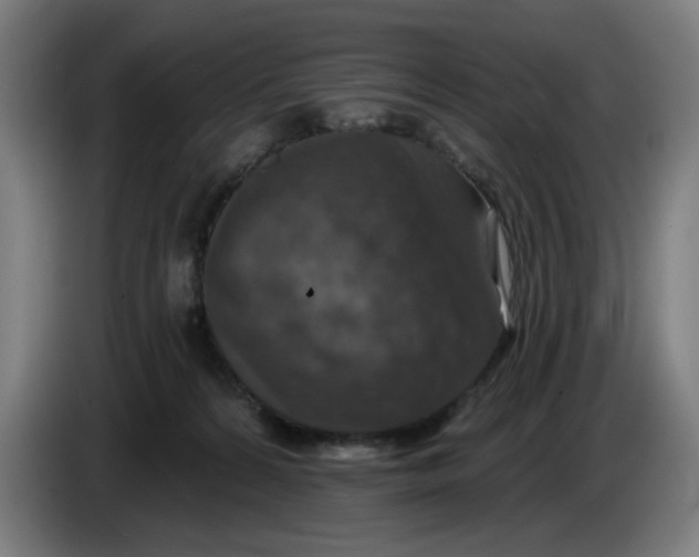 X0000085260224200703301839