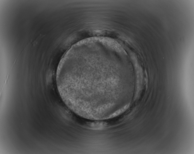 X0000085260225200703301839