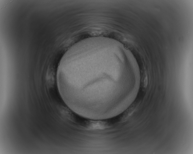 X0000085260226200703301839