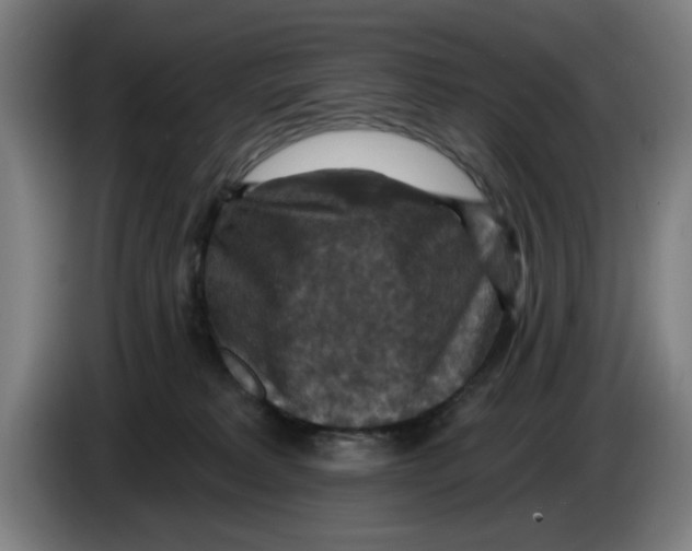 X0000085260229200703301839