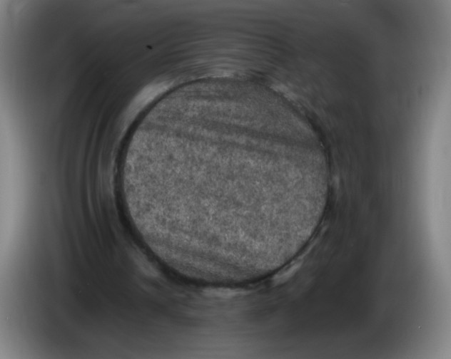 X0000085260242200703301838