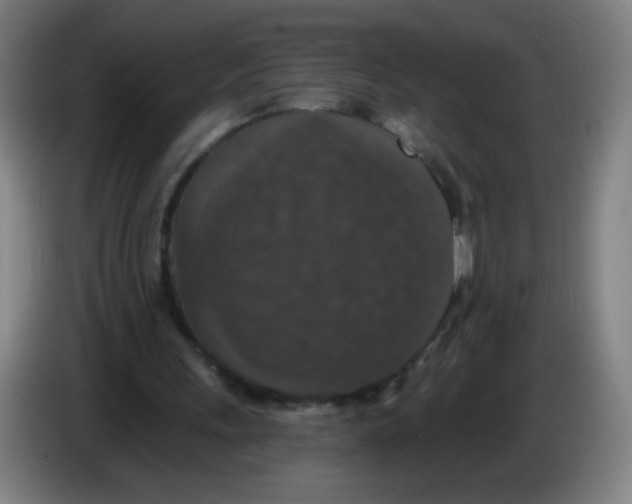 X0000085260243200703301838