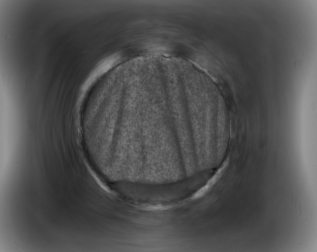 X0000085260245200703301838