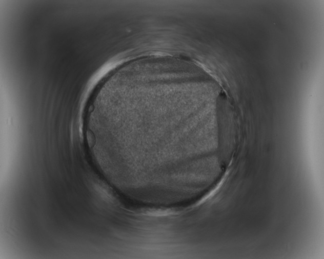 X0000085260246200703301838