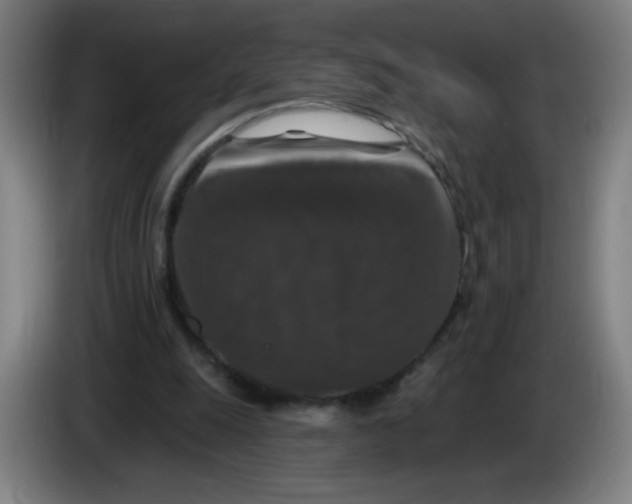 X0000085260247200703301839