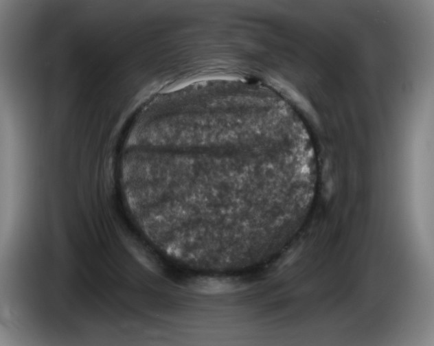 X0000085260250200703301839