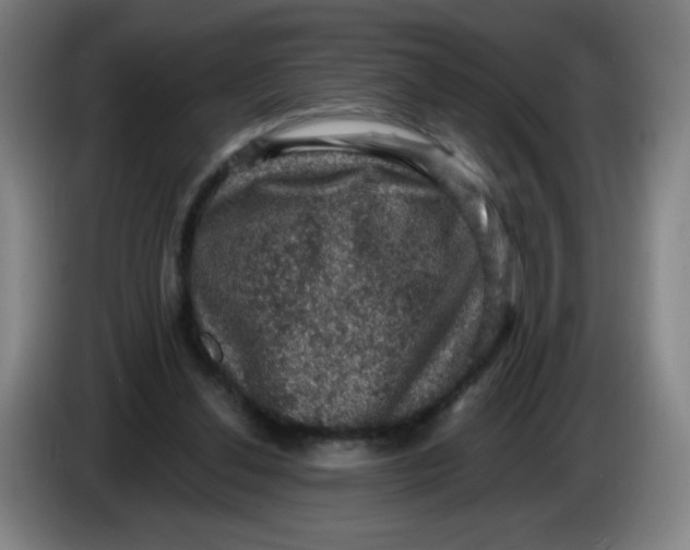 X0000085260252200703301839