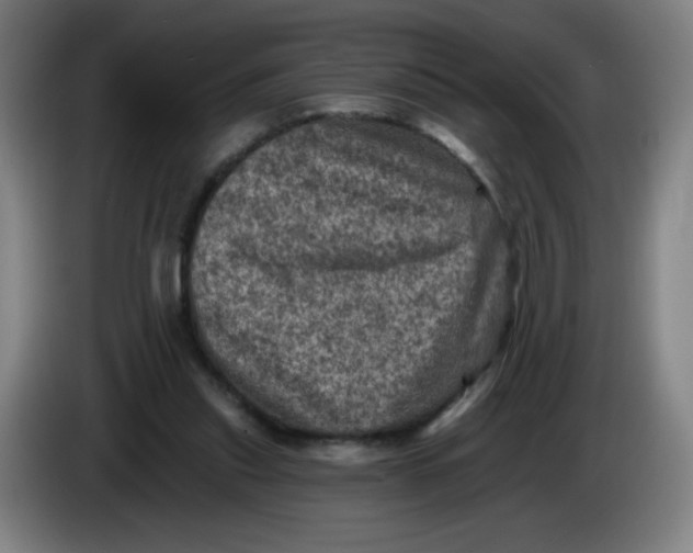 X0000085260253200703301839