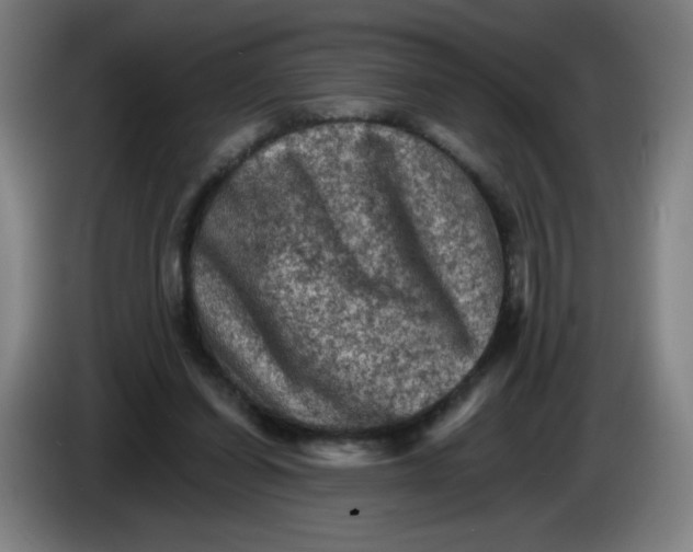 X0000085260254200703301839