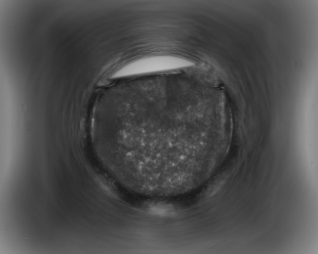 X0000085260258200703301839