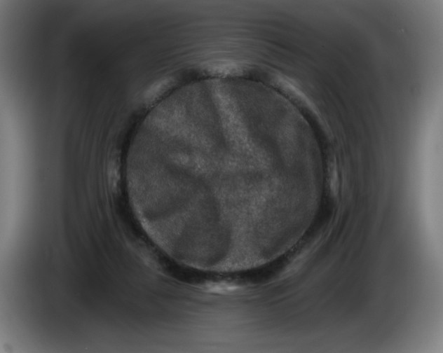 X0000085260259200703301839