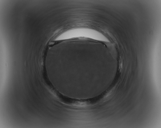 X0000085260260200703301839