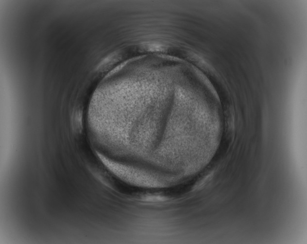 X0000085260262200703301839