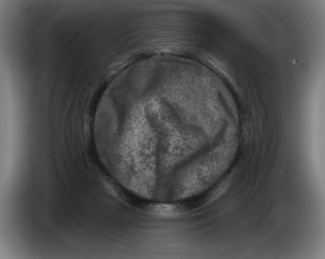 X0000085260265200703301839