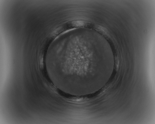 X0000085260267200703301839