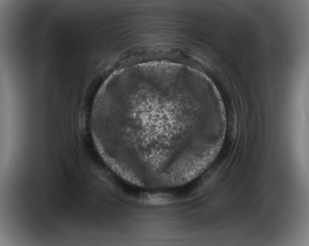 X0000085260268200703301839