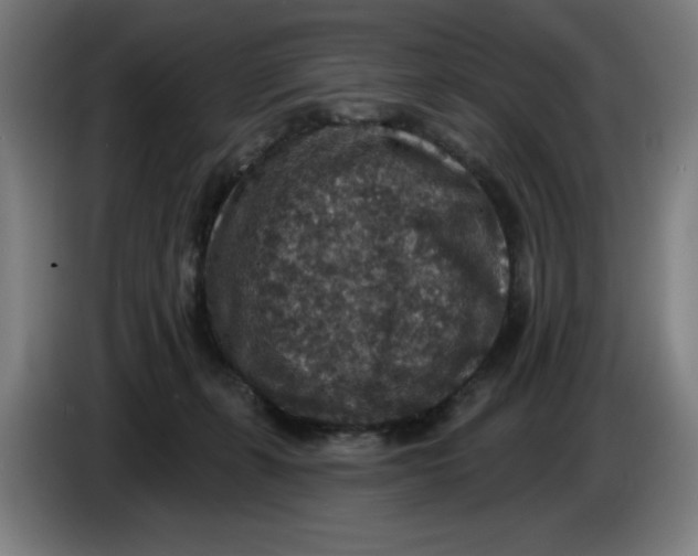 X0000085260271200703301839