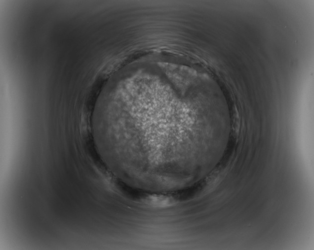 X0000085260272200703301839