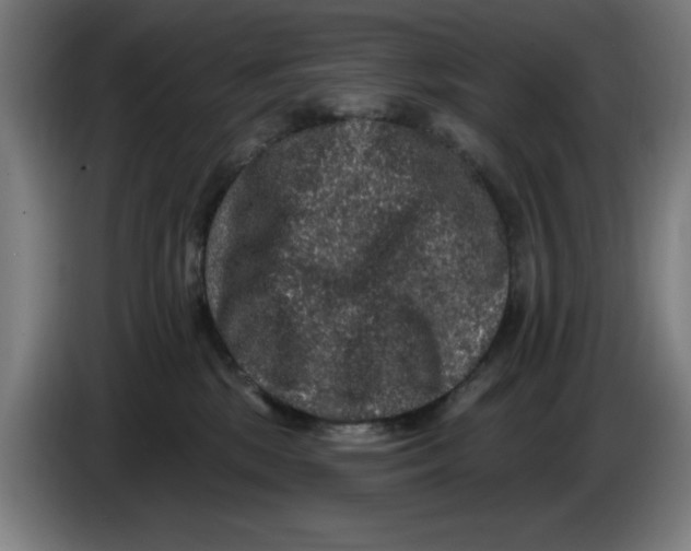 X0000085260281200703301839