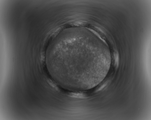 X0000085260284200703301839