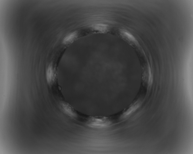 X0000085260285200703301839