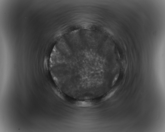 X0000085260286200703301839