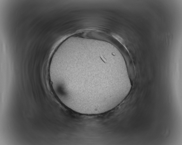 X0000085260289200703301838