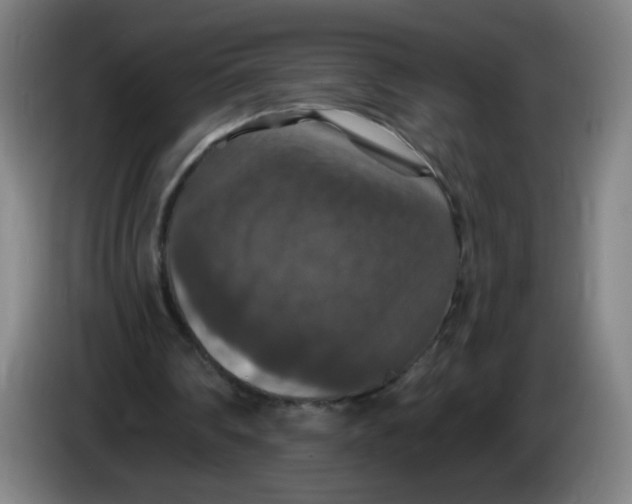 X0000085260290200703301838