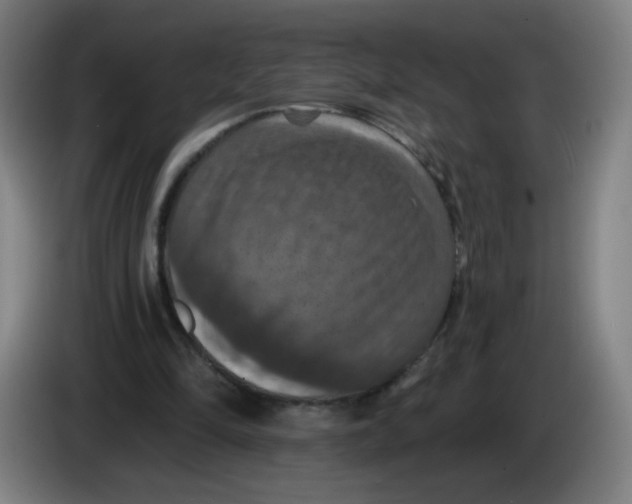 X0000085260294200703301838