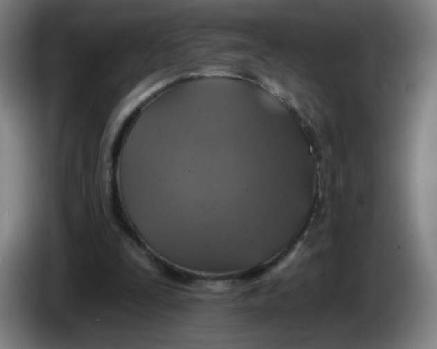 X0000085260295200703301838