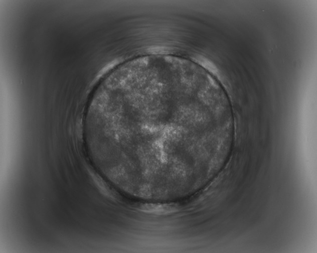 X0000085260297200703301838