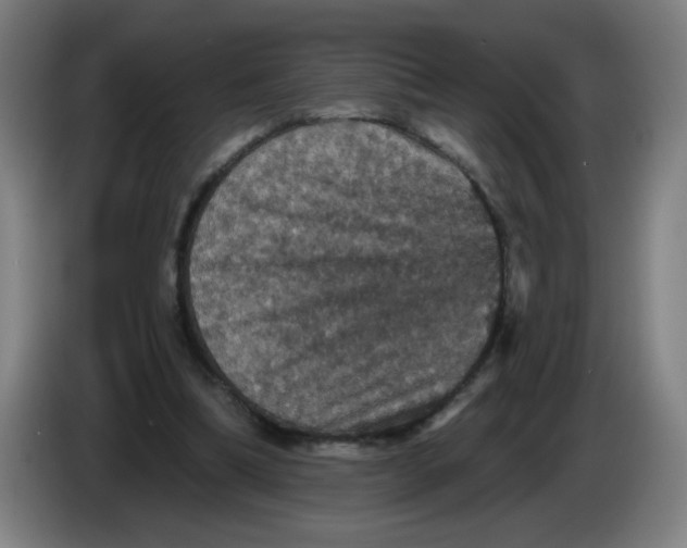 X0000085260298200703301838