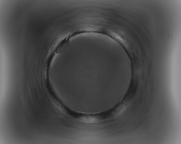 X0000085260299200703301838