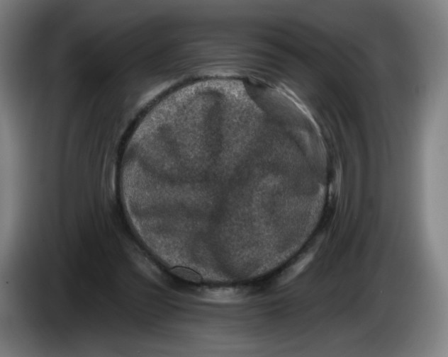 X0000085260301200703301838