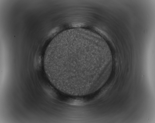 X0000085260308200703301838