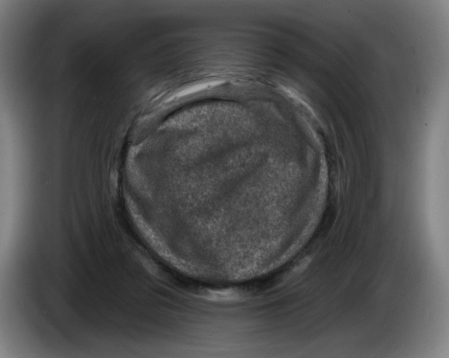 X0000085260309200703301838