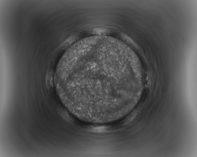 X0000085260313200703301838