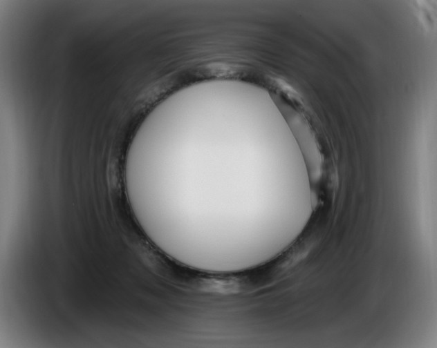 X0000085260317200703301838