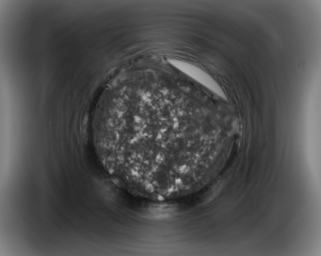 X0000085260319200703301838