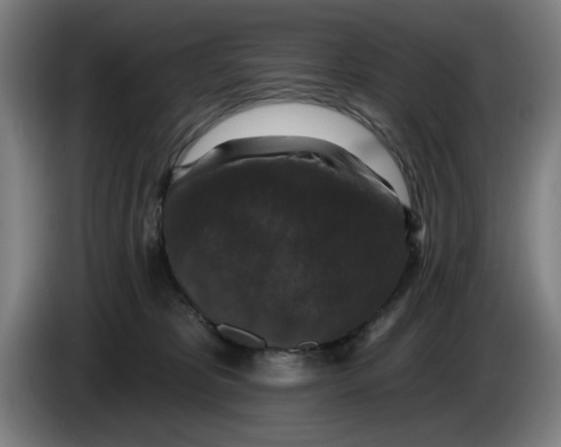 X0000085260325200703301838