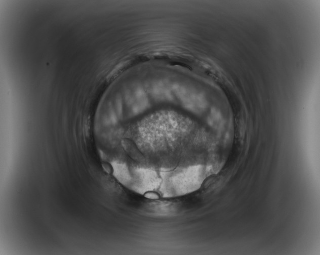 X0000085260326200703301838