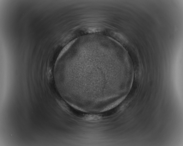 X0000085260327200703301838