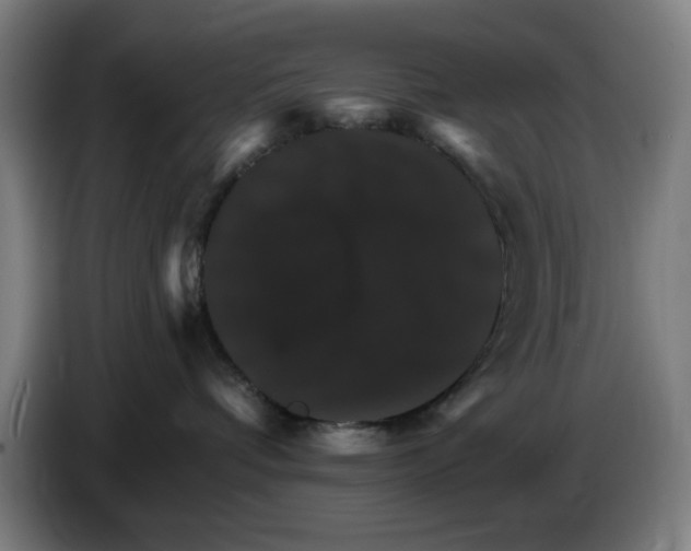 X0000085260336200703301838