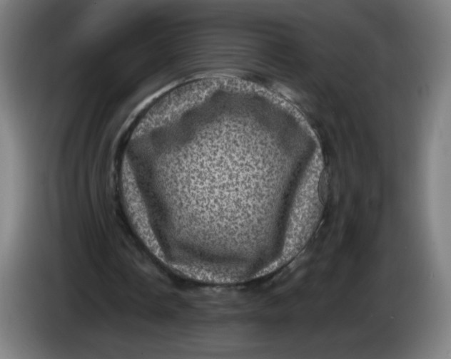 X0000085260338200703301837